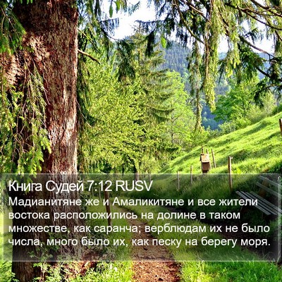 Книга Судей 7:12 RUSV Bible Verse Image