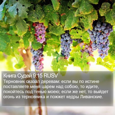 Книга Судей 9:15 RUSV Bible Verse Image