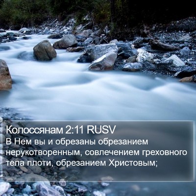 Колоссянам 2:11 RUSV Bible Verse Image