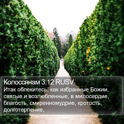 Колоссянам 3:12 RUSV Bible Verse Image
