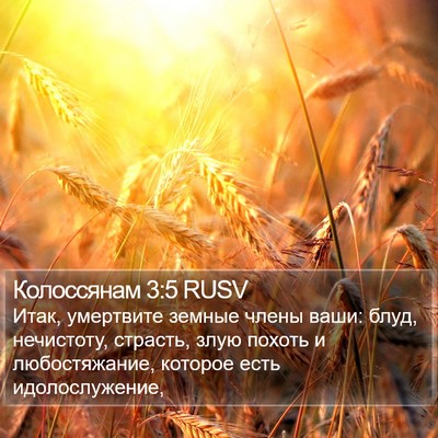 Колоссянам 3:5 RUSV Bible Verse Image