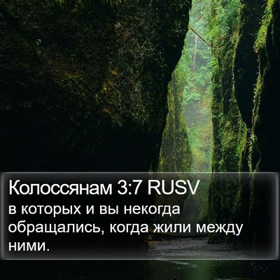 Колоссянам 3:7 RUSV Bible Verse Image