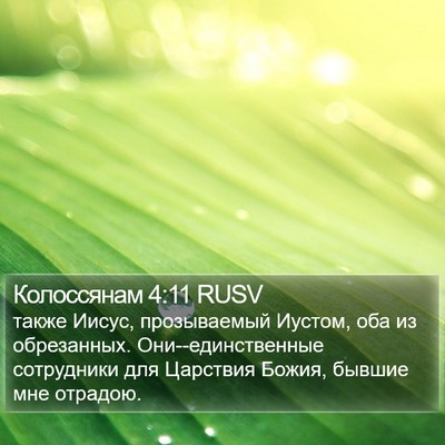 Колоссянам 4:11 RUSV Bible Verse Image