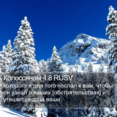 Колоссянам 4:8 RUSV Bible Verse Image