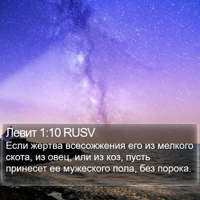 Левит 1:10 RUSV Bible Verse Image