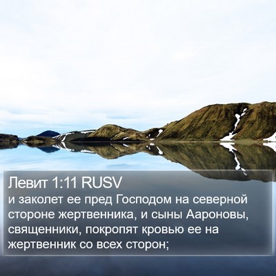 Левит 1:11 RUSV Bible Verse Image