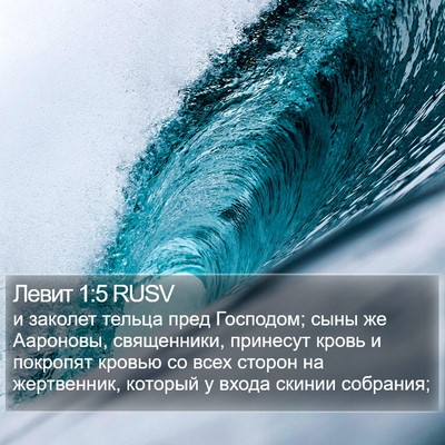 Левит 1:5 RUSV Bible Verse Image