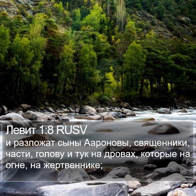 Левит 1:8 RUSV Bible Verse Image