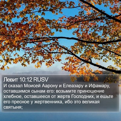 Левит 10:12 RUSV Bible Verse Image