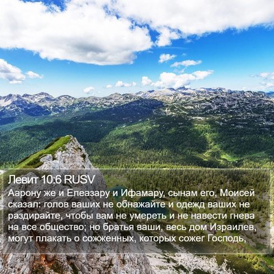 Левит 10:6 RUSV Bible Verse Image