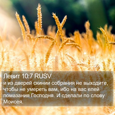 Левит 10:7 RUSV Bible Verse Image