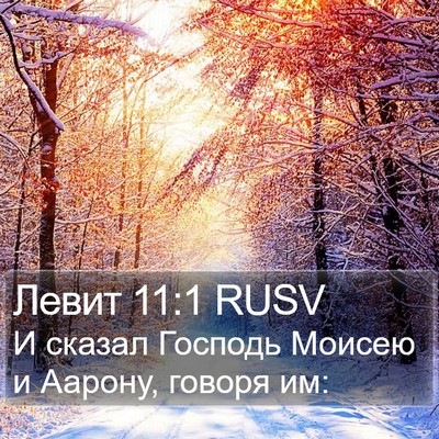 Левит 11:1 RUSV Bible Verse Image