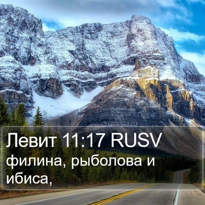 Левит 11:17 RUSV Bible Verse Image