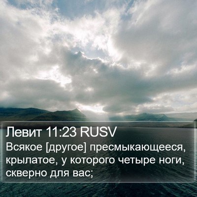 Левит 11:23 RUSV Bible Verse Image