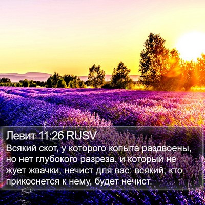 Левит 11:26 RUSV Bible Verse Image