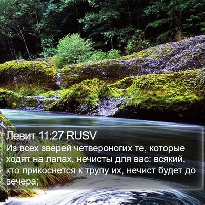 Левит 11:27 RUSV Bible Verse Image