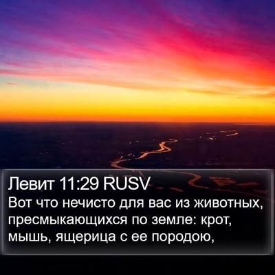 Левит 11:29 RUSV Bible Verse Image
