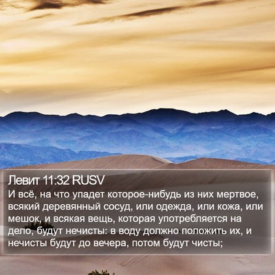 Левит 11:32 RUSV Bible Verse Image