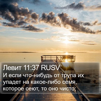 Левит 11:37 RUSV Bible Verse Image