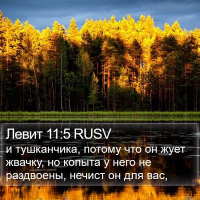 Левит 11:5 RUSV Bible Verse Image