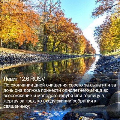 Левит 12:6 RUSV Bible Verse Image