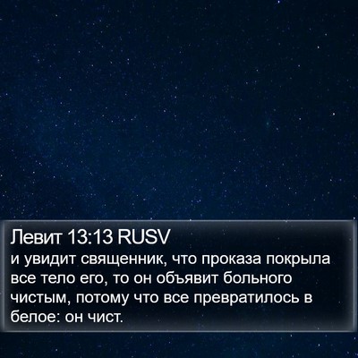 Левит 13:13 RUSV Bible Verse Image