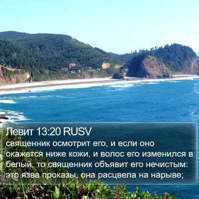 Левит 13:20 RUSV Bible Verse Image