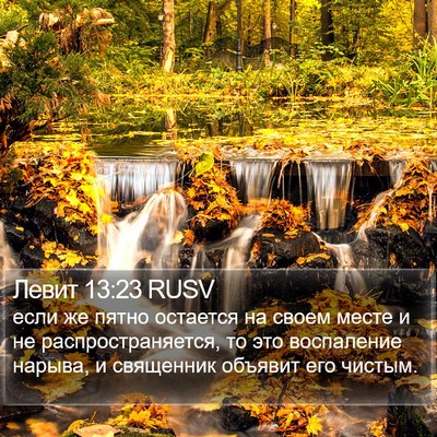 Левит 13:23 RUSV Bible Verse Image