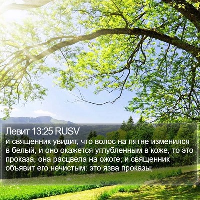 Левит 13:25 RUSV Bible Verse Image