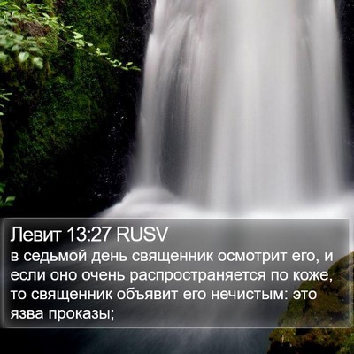 Левит 13:27 RUSV Bible Verse Image