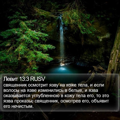 Левит 13:3 RUSV Bible Verse Image