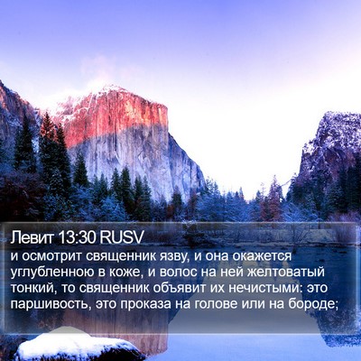 Левит 13:30 RUSV Bible Verse Image