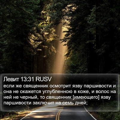 Левит 13:31 RUSV Bible Verse Image