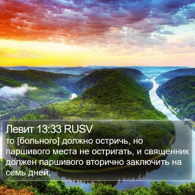 Левит 13:33 RUSV Bible Verse Image