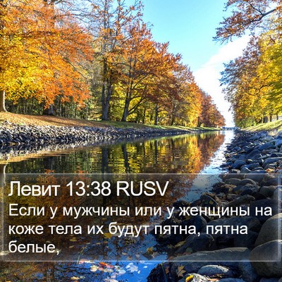 Левит 13:38 RUSV Bible Verse Image