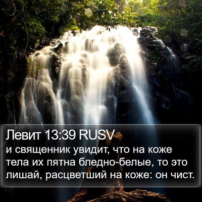 Левит 13:39 RUSV Bible Verse Image