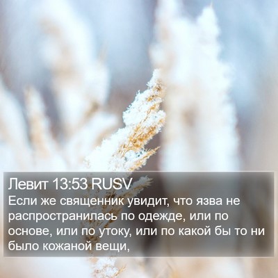 Левит 13:53 RUSV Bible Verse Image