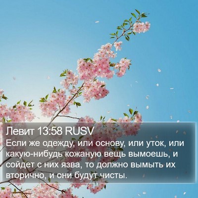 Левит 13:58 RUSV Bible Verse Image