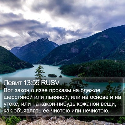 Левит 13:59 RUSV Bible Verse Image