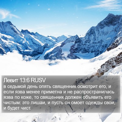 Левит 13:6 RUSV Bible Verse Image