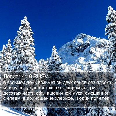 Левит 14:10 RUSV Bible Verse Image