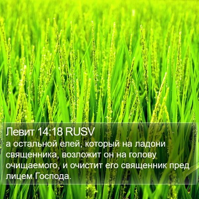 Левит 14:18 RUSV Bible Verse Image