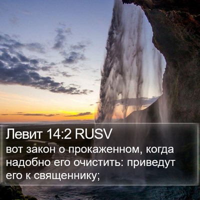 Левит 14:2 RUSV Bible Verse Image