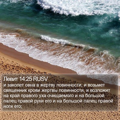 Левит 14:25 RUSV Bible Verse Image