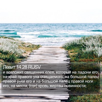 Левит 14:28 RUSV Bible Verse Image