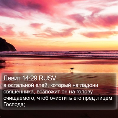 Левит 14:29 RUSV Bible Verse Image