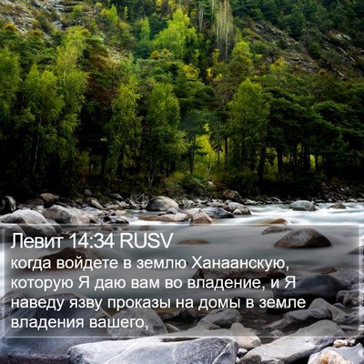 Левит 14:34 RUSV Bible Verse Image