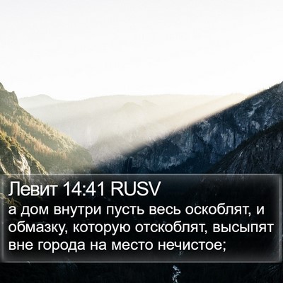 Левит 14:41 RUSV Bible Verse Image