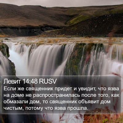 Левит 14:48 RUSV Bible Verse Image