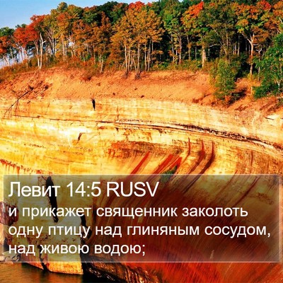 Левит 14:5 RUSV Bible Verse Image
